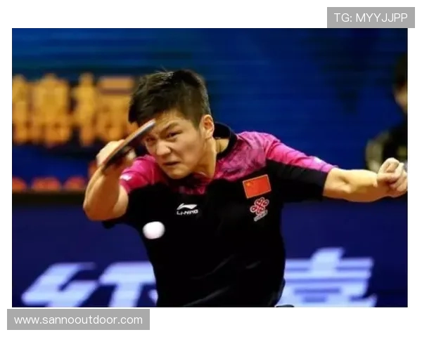 上海乒乓球队灵活性排名创新高引发全国关注与热议